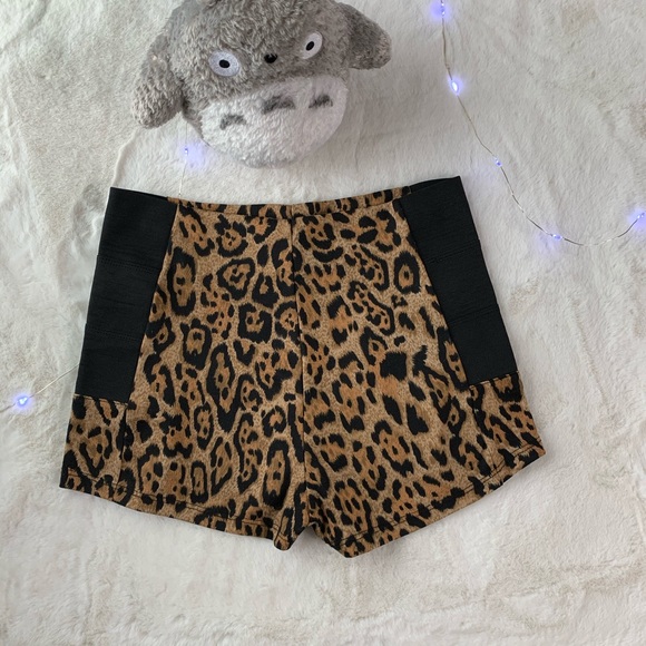 Oboe Animal Pattern Button Shorts - Picture 2 of 2